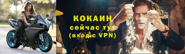 трава Новозыбков