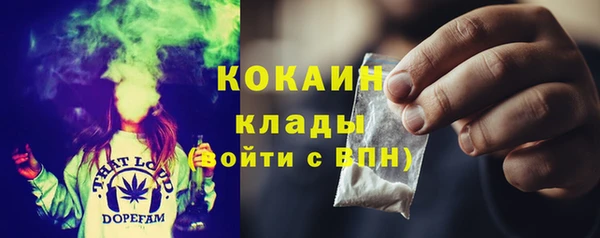 трава Новозыбков
