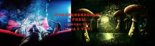 трава Новозыбков