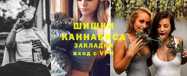 трава Новозыбков