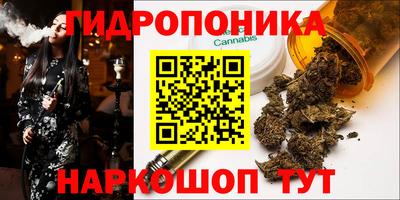 сатива Дубна
