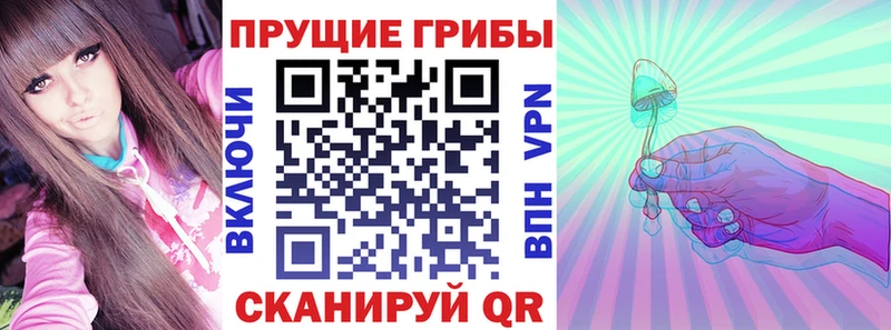 Галлюциногенные грибы ЛСД  где купить наркотик  Людиново 